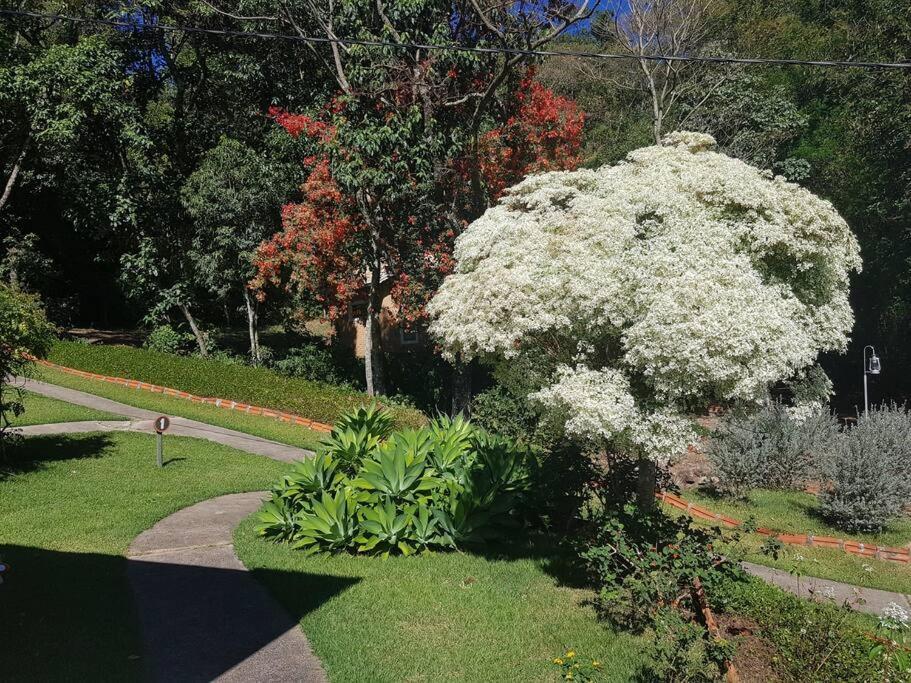 Recanto Dos Beija Flores, Chale Lantana B Monte Alegre do Sul Dış mekan fotoğraf